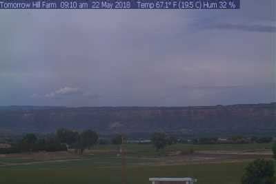 grand junction webcams|Grand Junction